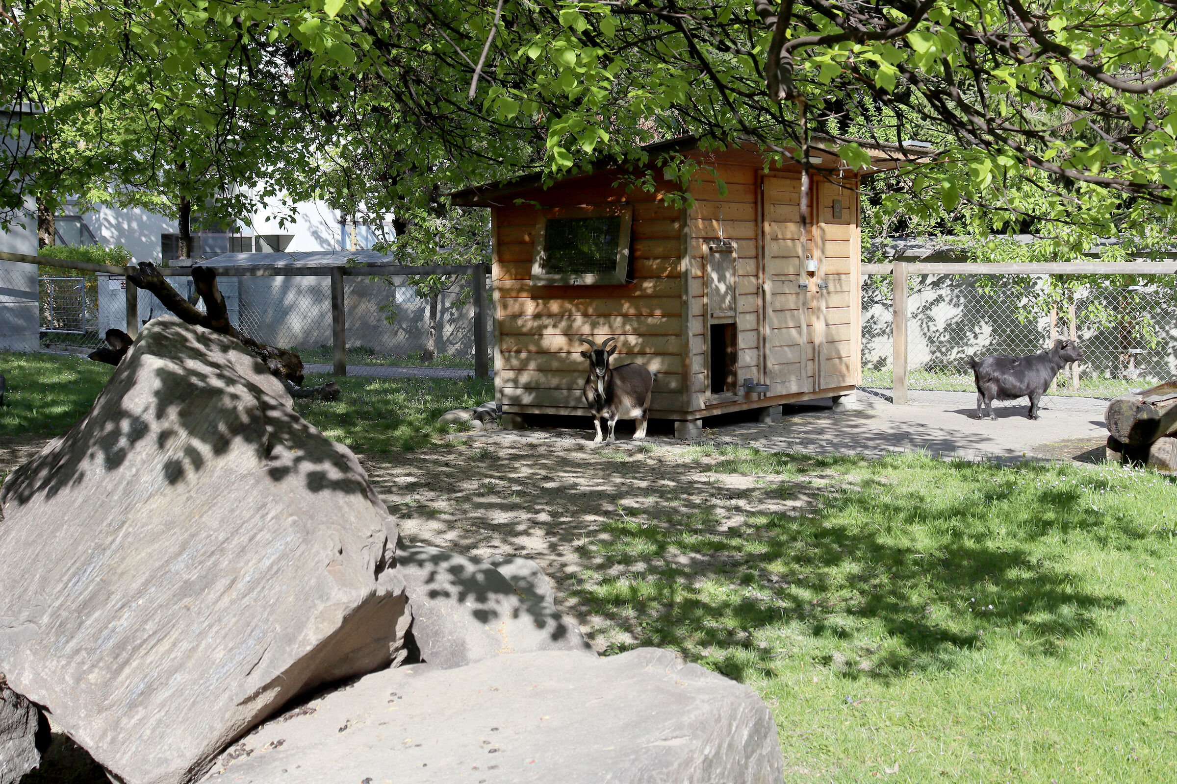 Wohnheim Chur ARGO Stiftung